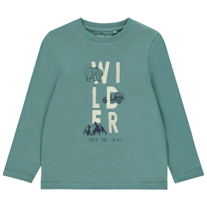 Футболка д/р