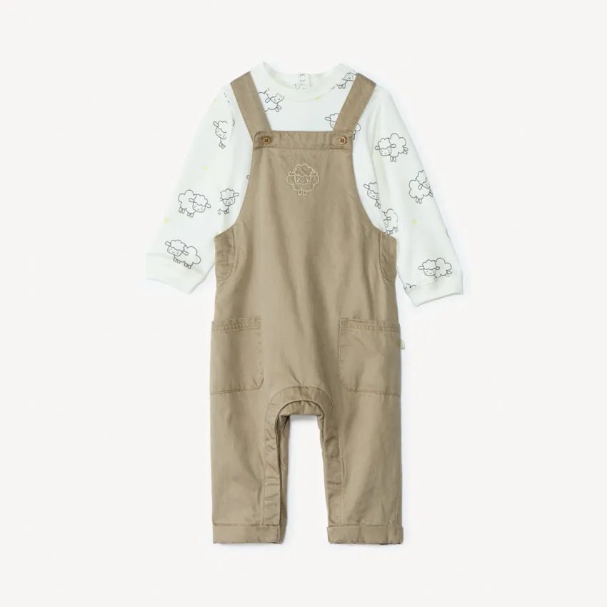 Набор из 2х вещей (футболка д/р, комбинезон)