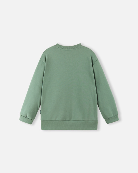 Свитшот Рейма для мальчиков