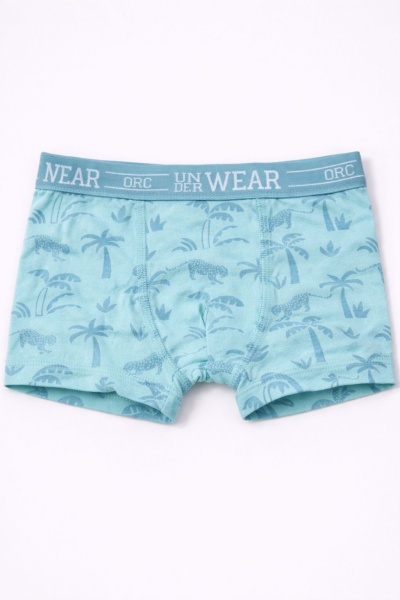 Набор из 5 трусов ORCHESTRA для мальчиков