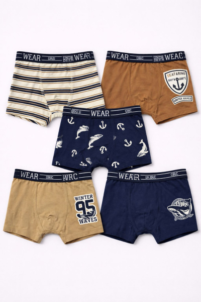 Набор из 5 трусов