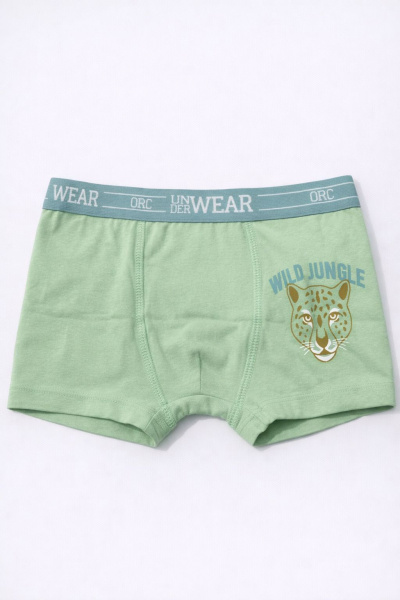 Набор из 5 трусов ORCHESTRA для мальчиков