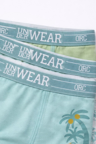 Набор из 5 трусов ORCHESTRA для мальчиков