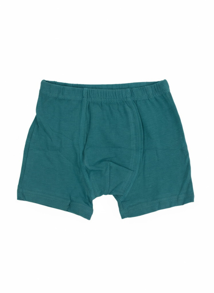 Набор из 4 трусов O KIDS для мальчиков