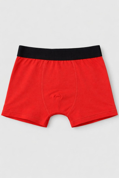 Набор из 4 трусов O KIDS для мальчиков