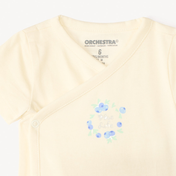 Набор из 5 боди к/р