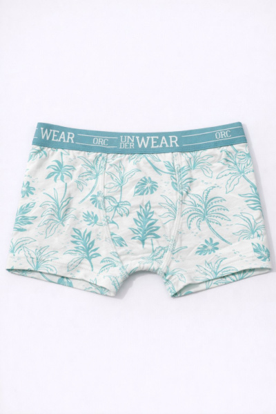 Набор из 5 трусов ORCHESTRA для мальчиков