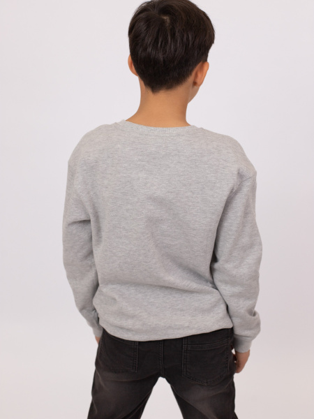 Свитшот ORCHESTRA для мальчиков