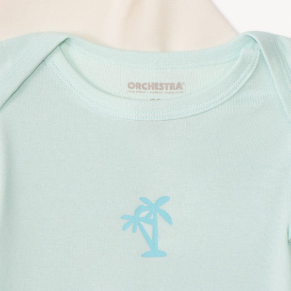 Набор из 5 боди к/р