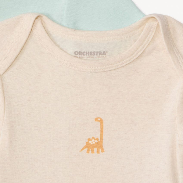 Набор из 5 боди к/р