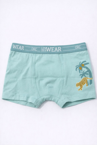 Набор из 5 трусов ORCHESTRA для мальчиков