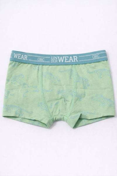 Набор из 5 трусов ORCHESTRA для мальчиков