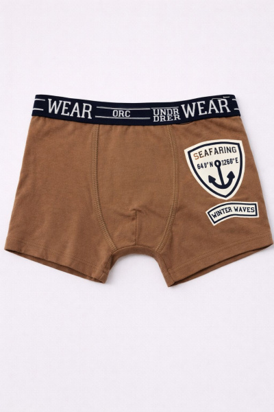 Набор из 5 трусов ORCHESTRA для мальчиков