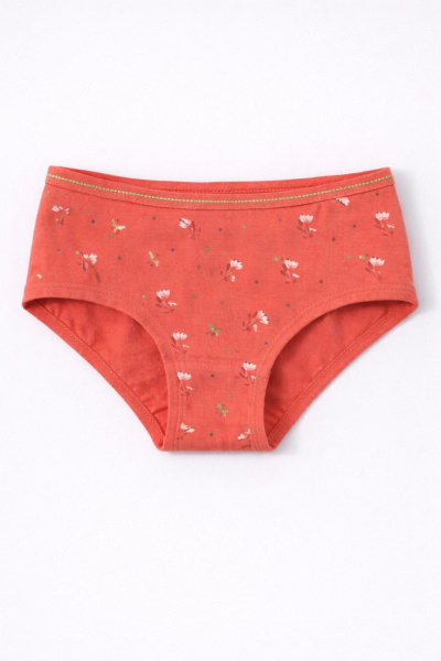 Набор из 4 трусов