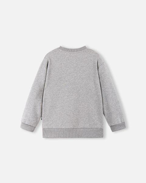 Свитшот Рейма для мальчиков