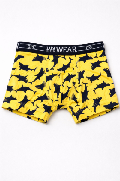 Набор из 5 трусов ORCHESTRA для мальчиков