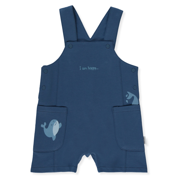 Набор из 2х вещей (футболка к/р, комбинезон)