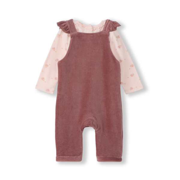 Набор из 2х вещей (футболка д/р, комбинезон)