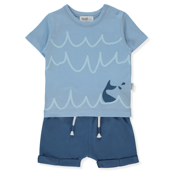 Набор из 2х вещей (футболка к/р, шорты)