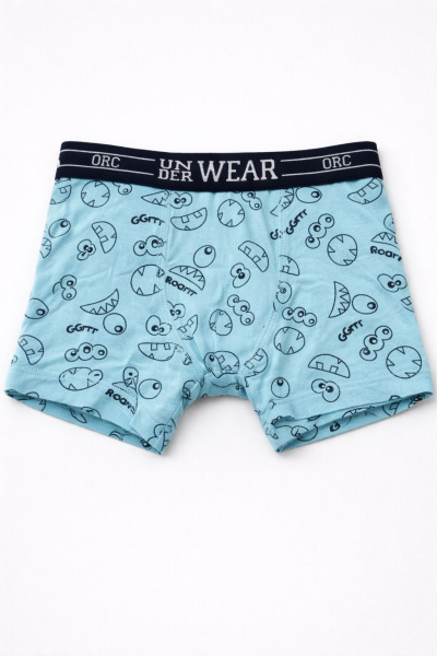 Набор из 5 трусов ORCHESTRA для мальчиков