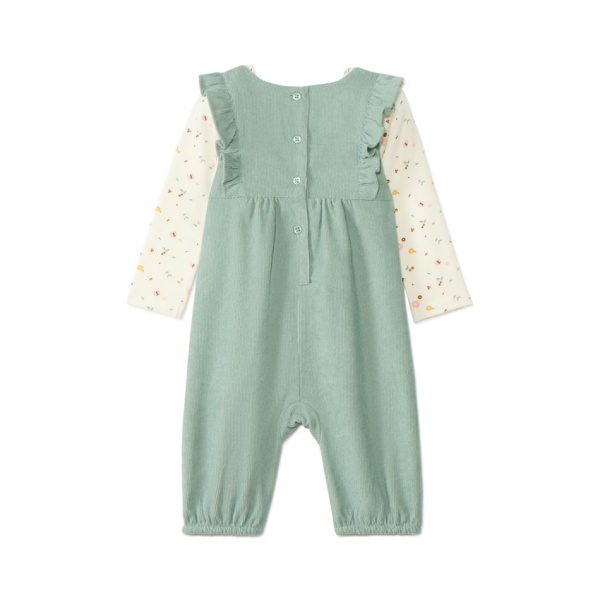 Набор из 2х вещей (футболка д/р, комбинезон)