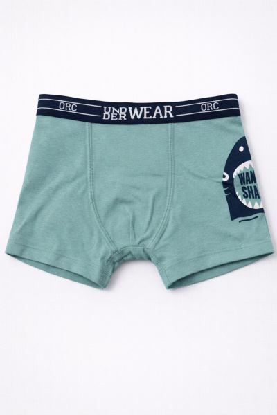 Набор из 5 трусов ORCHESTRA для мальчиков