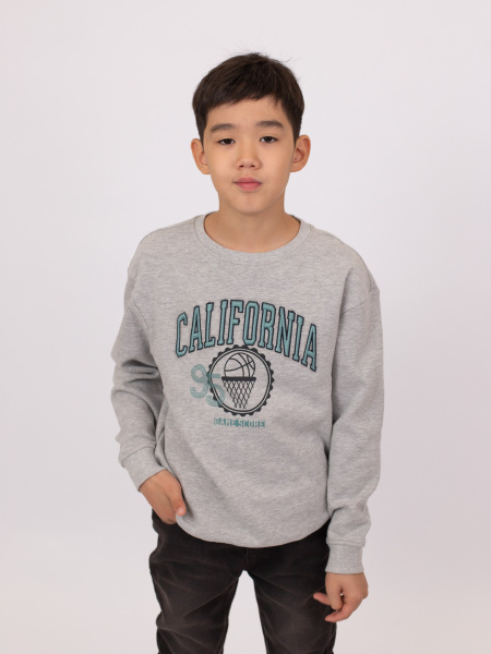 Свитшот ORCHESTRA для мальчиков