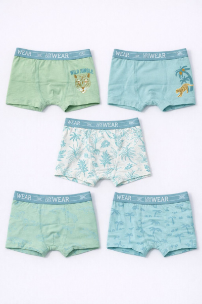 Набор из 5 трусов