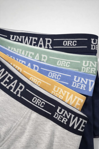 Набор из 5 трусов ORCHESTRA для мальчиков