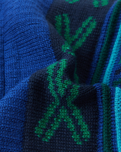 Шапка Рейма для мальчиков