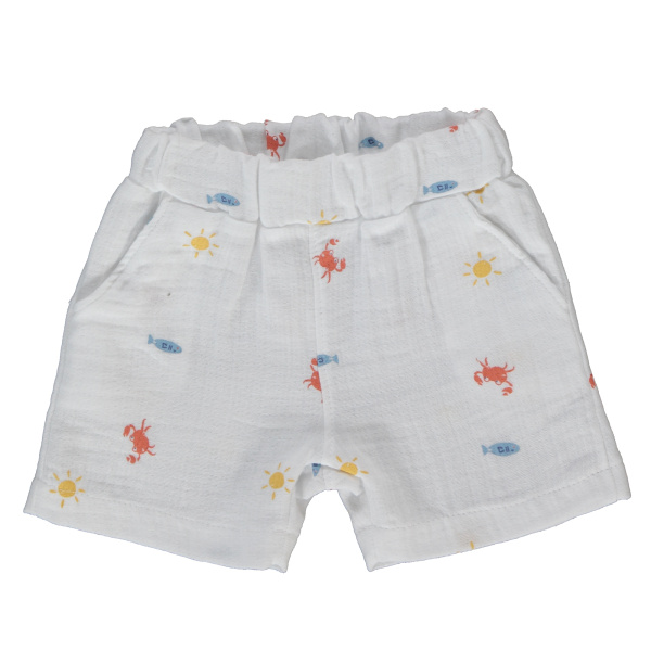 Набор из 2х вещей (футболка к/р, шорты)