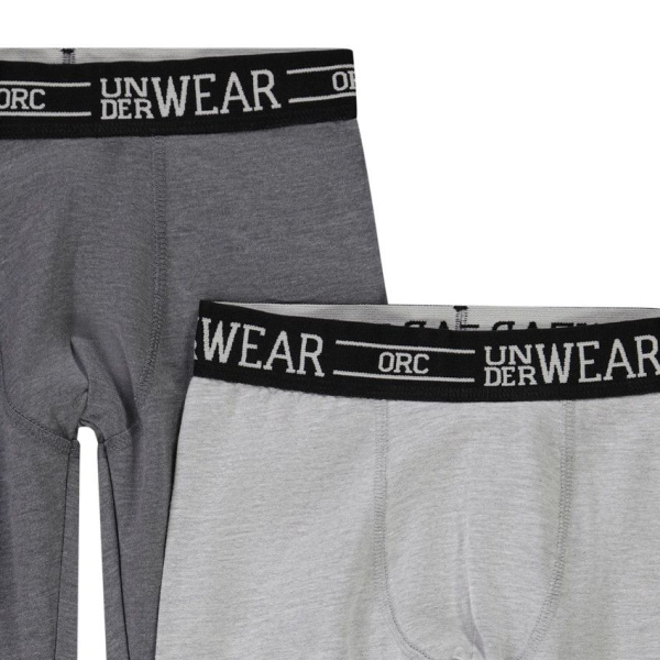 Набор из 2х кальсонов ORCHESTRA для мальчиков