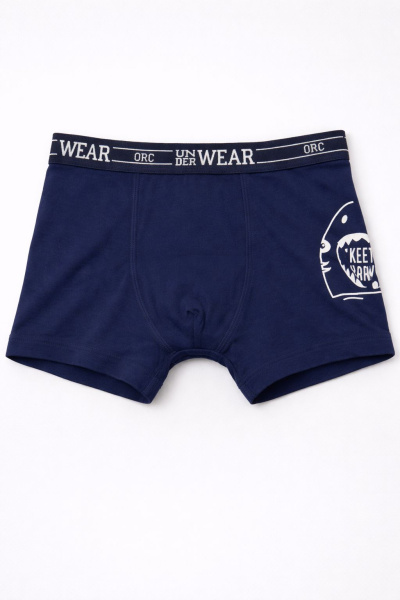 Набор из 5 трусов ORCHESTRA для мальчиков